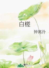 白槎镇邮政编码