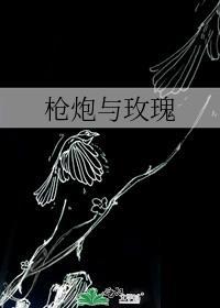 枪炮与玫瑰乐队成员