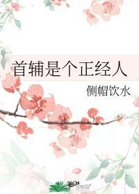 首辅是个正经人笔趣阁