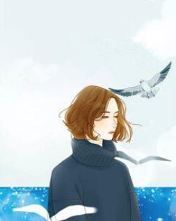 撩妻入怀:陆少很强势